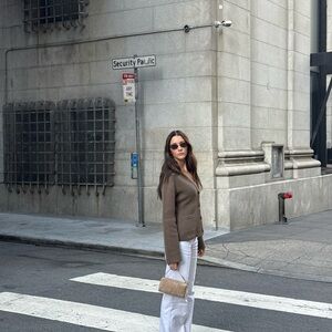 ARITZIA Meraki Merino Wool Cardigan